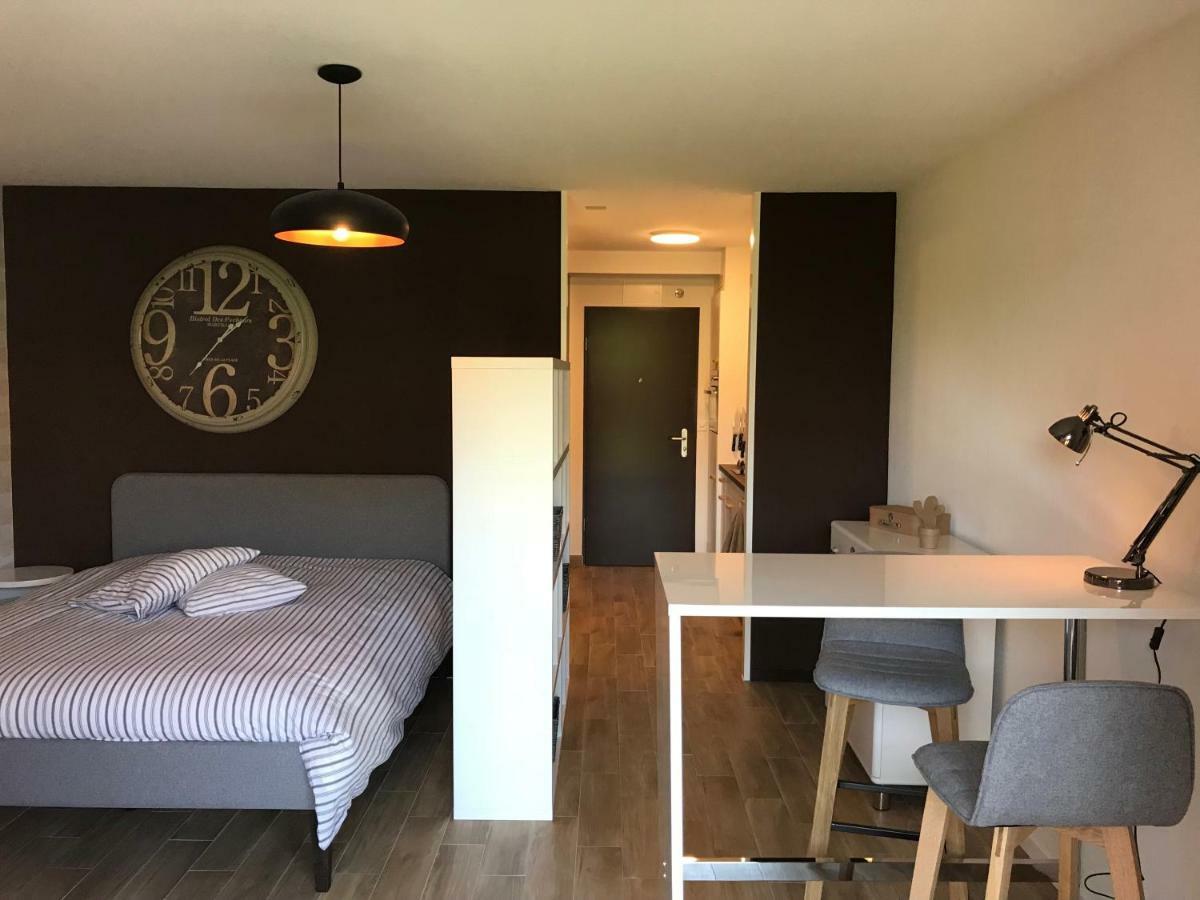Large Studio Near Epfl And Lausanne City Center Ecublens  外观 照片
