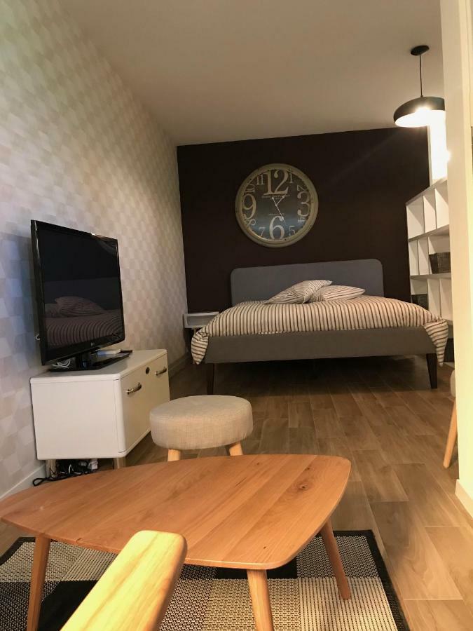 Large Studio Near Epfl And Lausanne City Center Ecublens  外观 照片